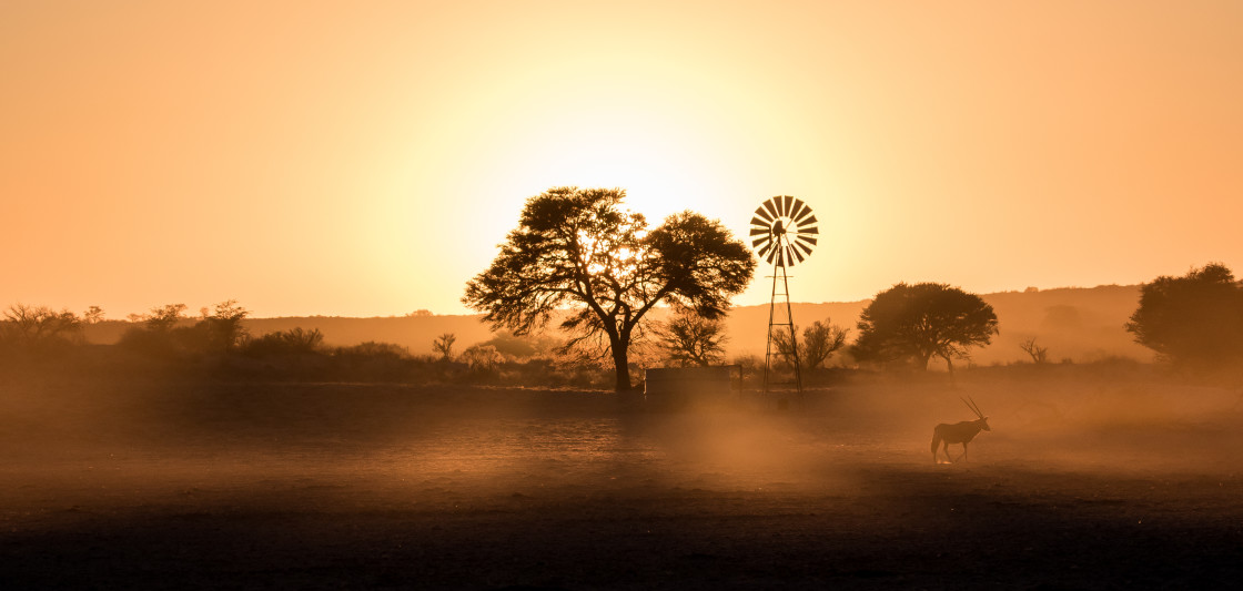 "Kalahari Sunrise" stock image