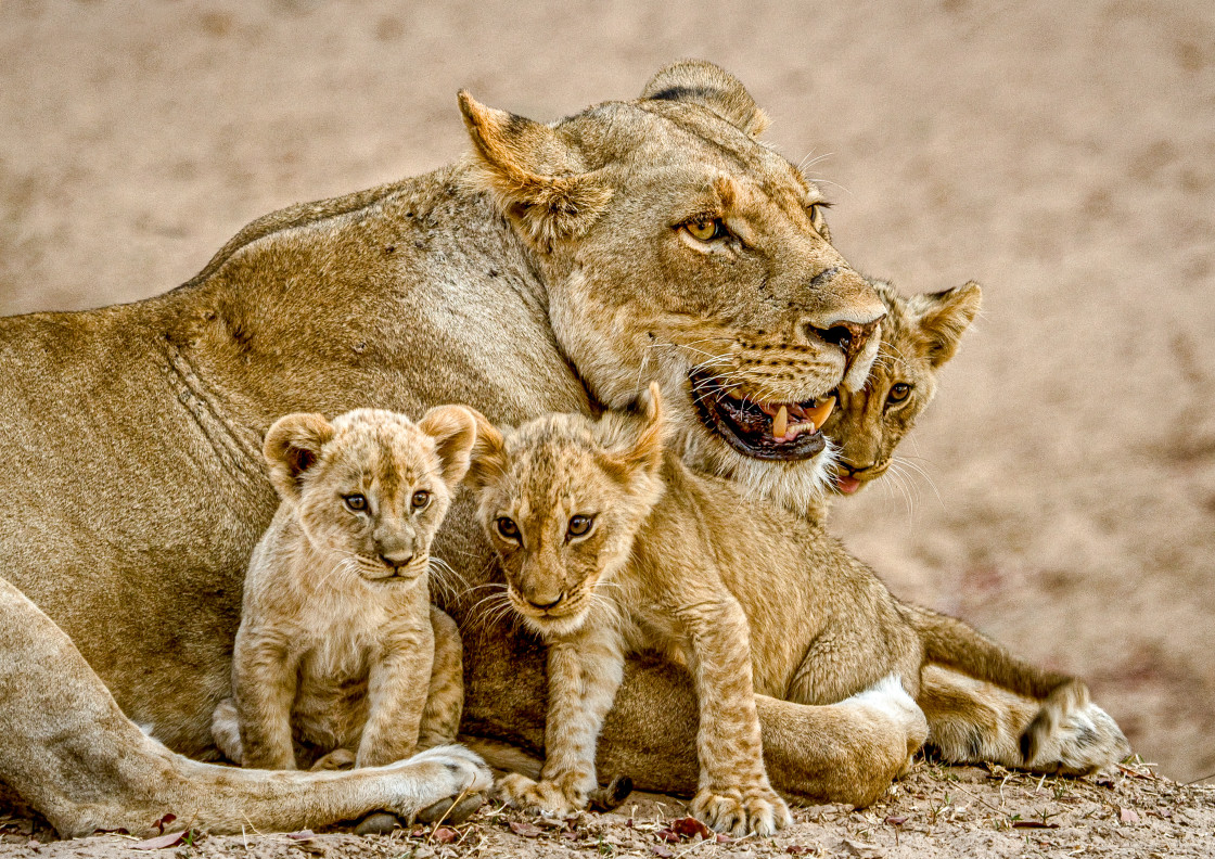 "Family" stock image