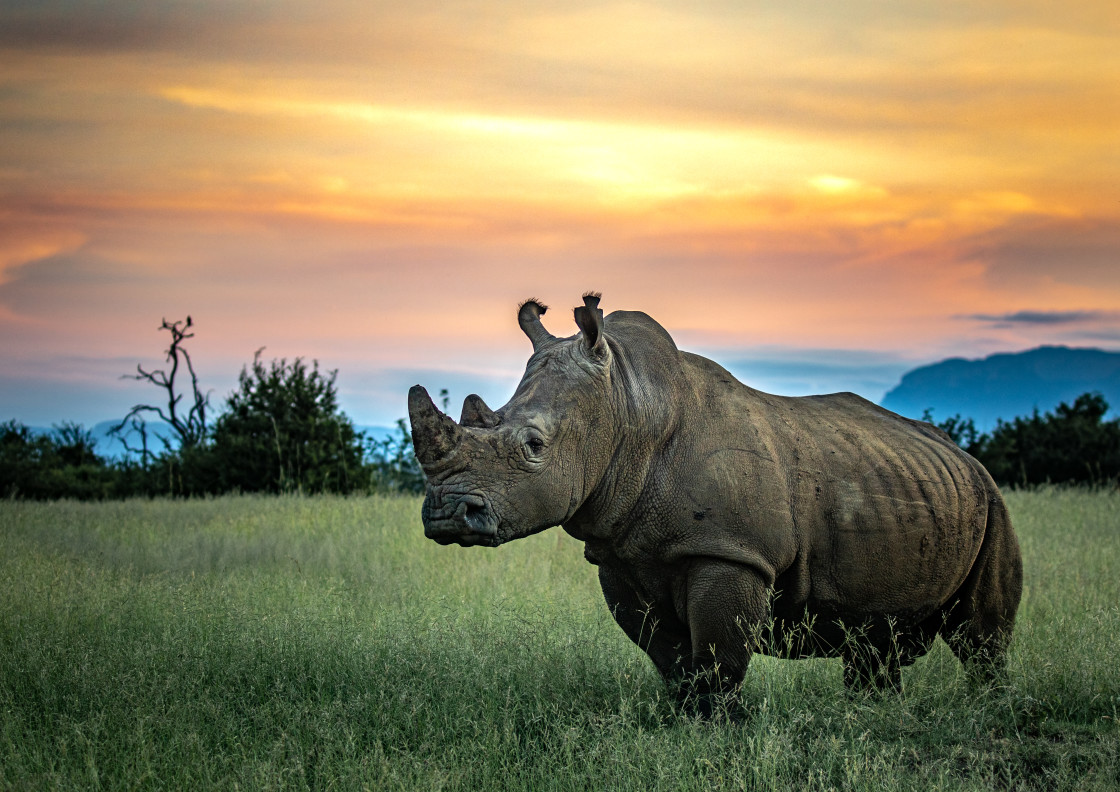 "Stoic Sunset" stock image