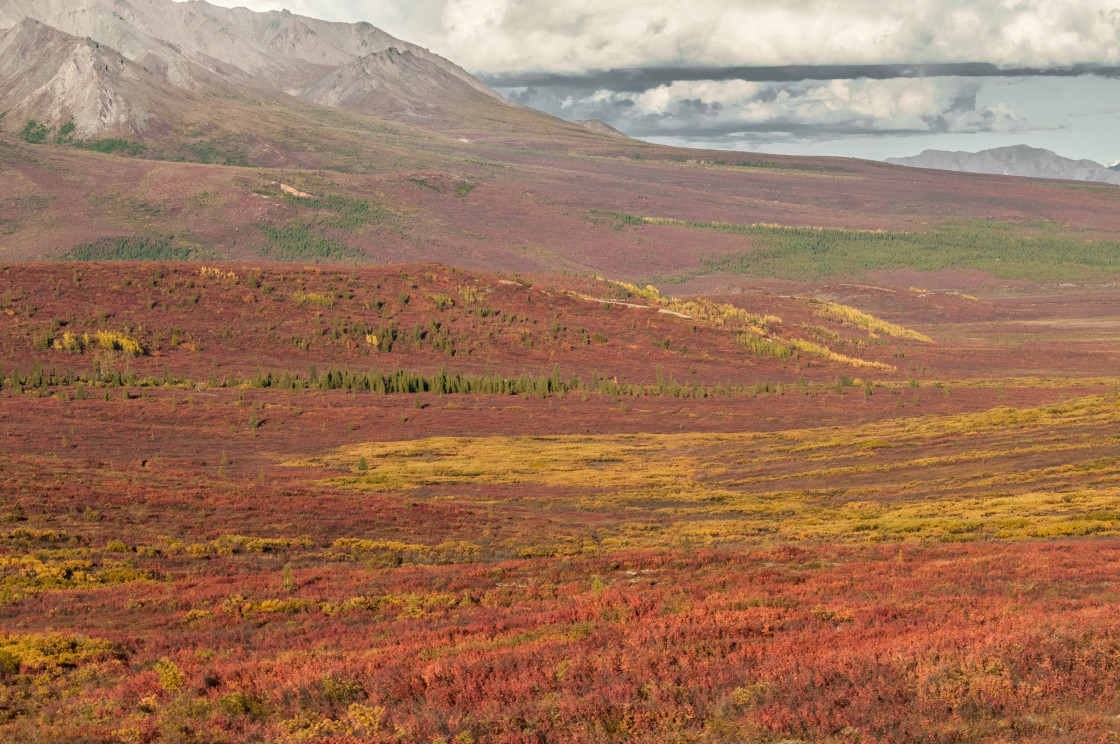 "Alaskan mountain range" stock image