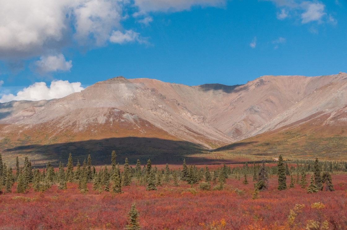 "Alaskan mountain range" stock image