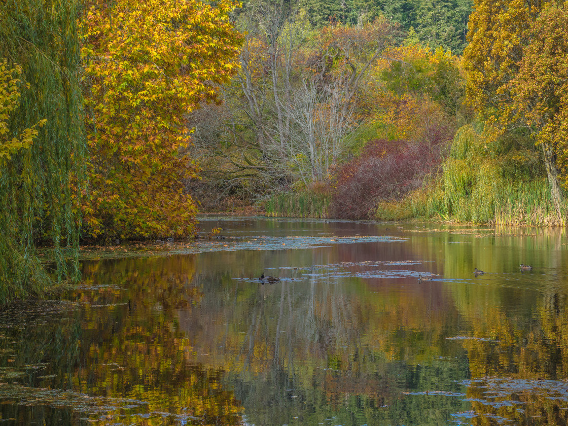 "Autumn in the Park" stock image