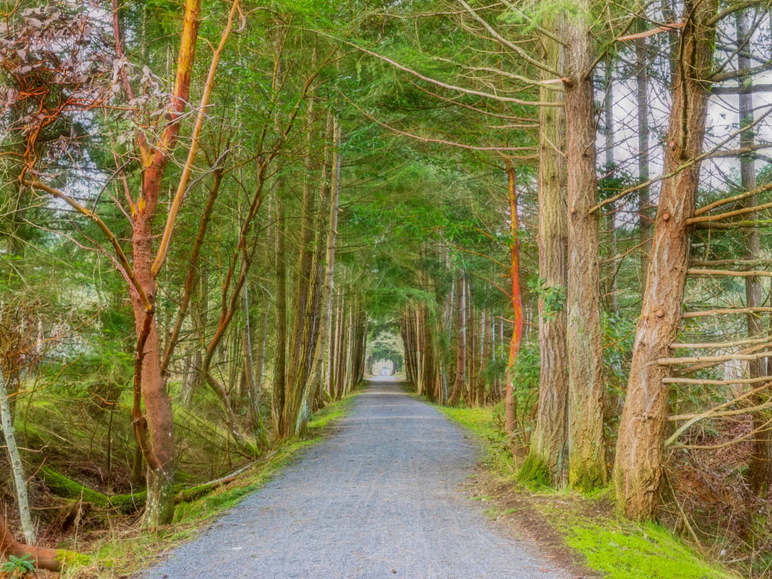 "Walking Trail" stock image