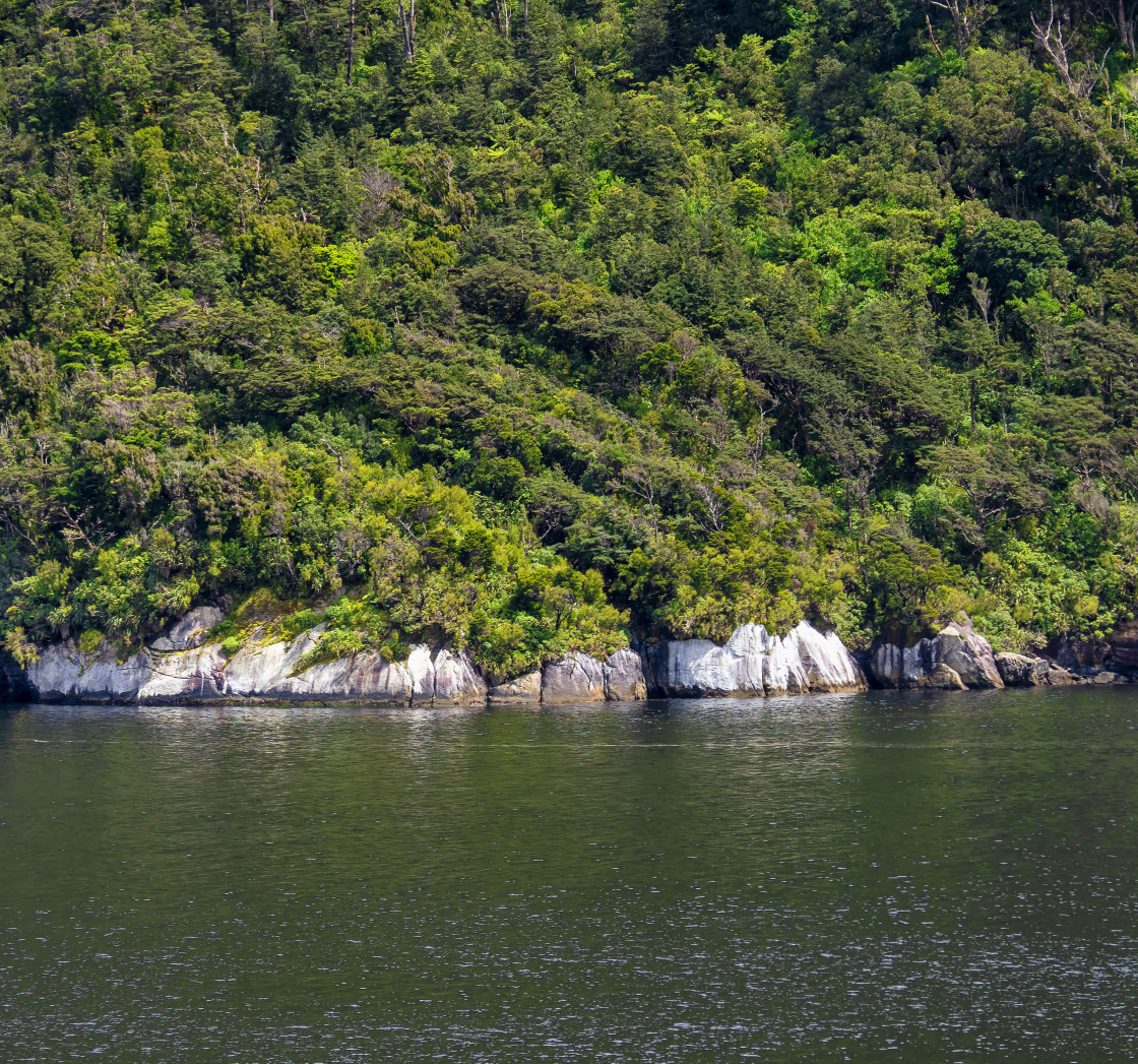 "Doubtful Sound #6" stock image