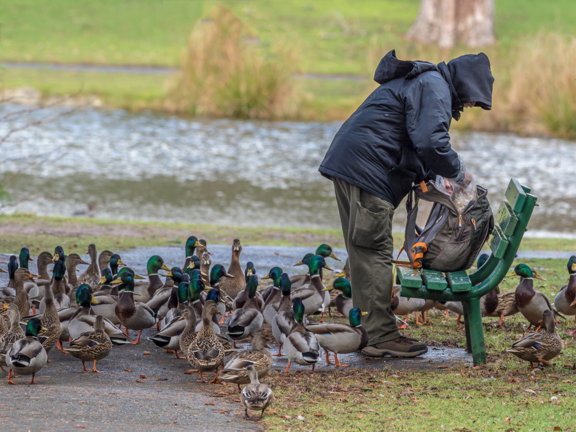 "Bird Man" stock image