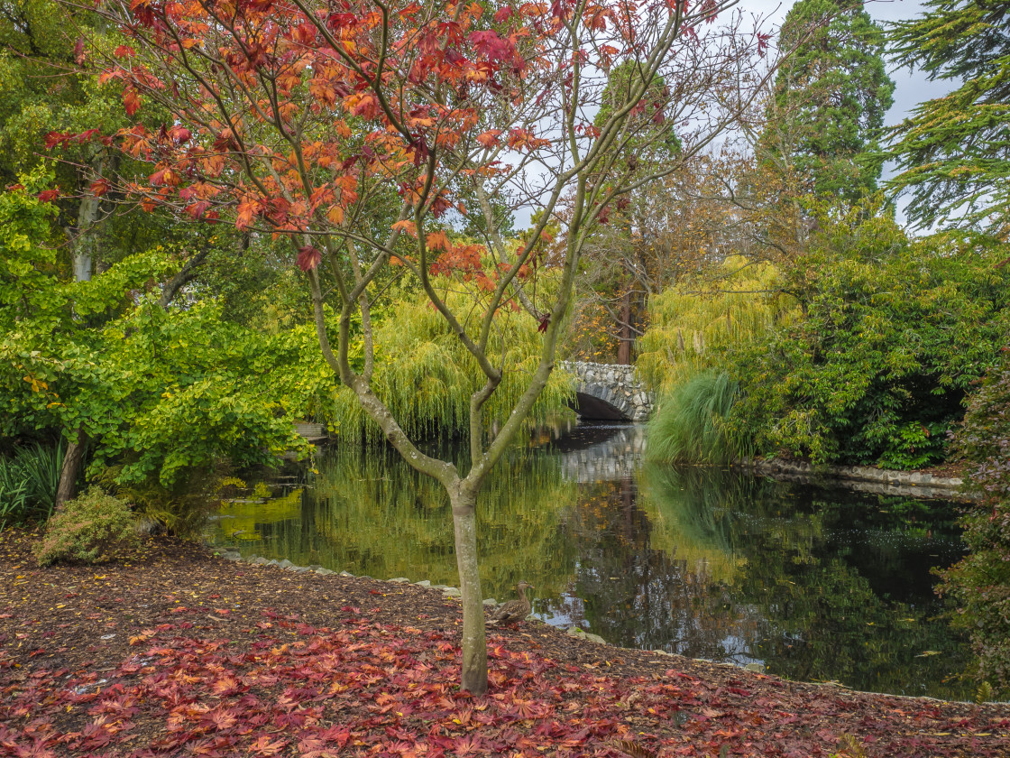 "Autumn in the Park" stock image