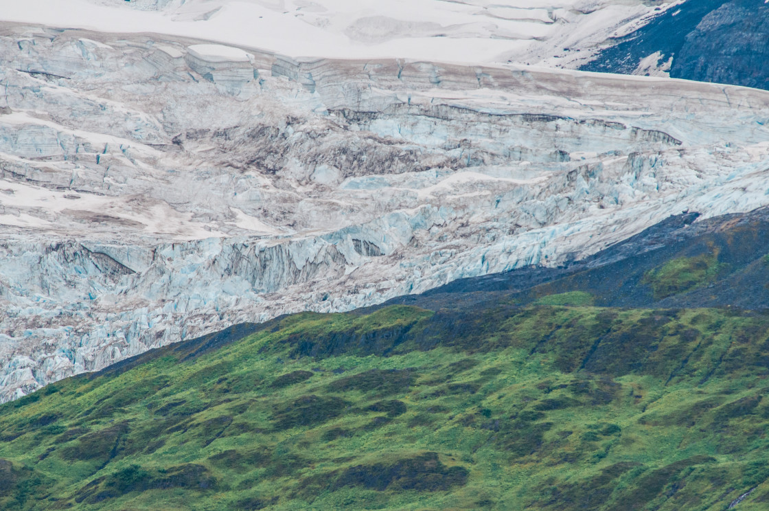 "Alaskan Glacier and green tundra" stock image