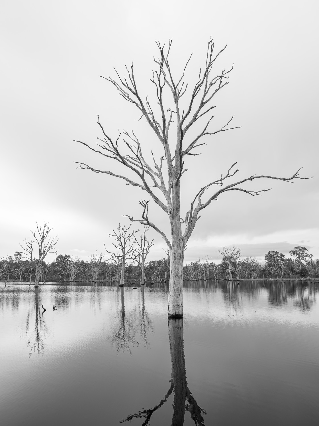 "Tranquility#2" stock image