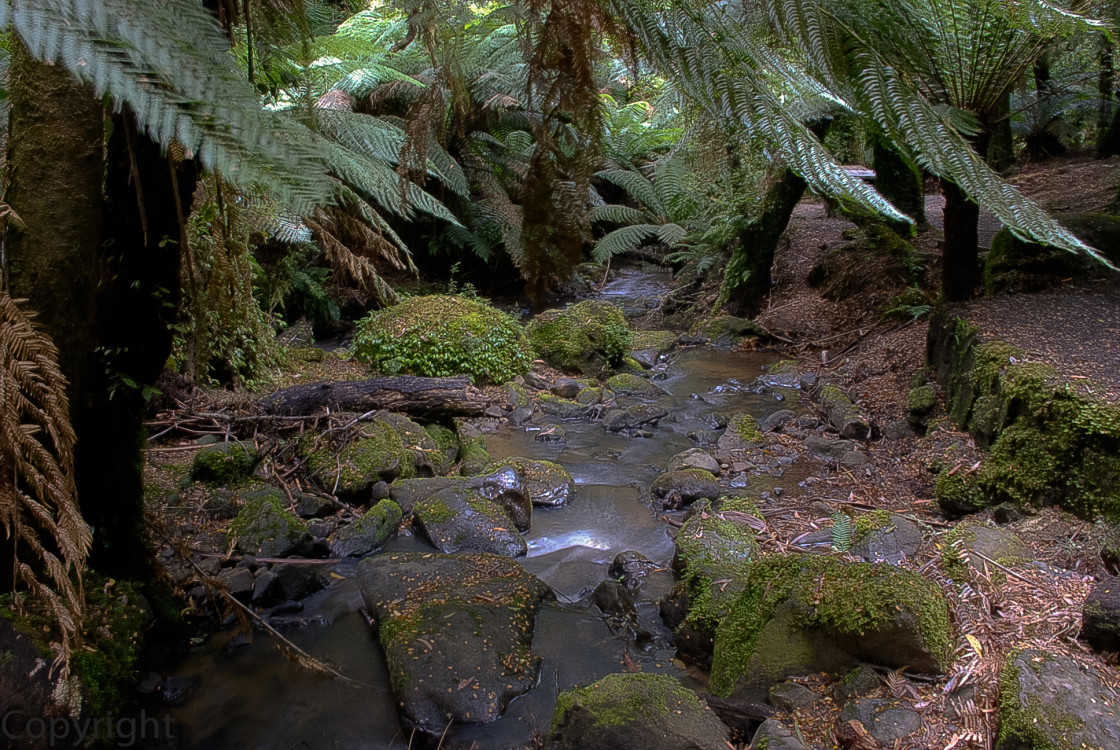 "Terra-Bulga National Park" stock image