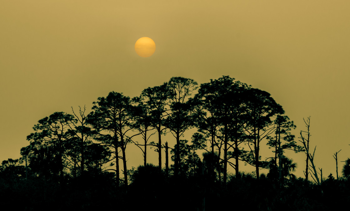 "Sahara dust tinged sunrise" stock image