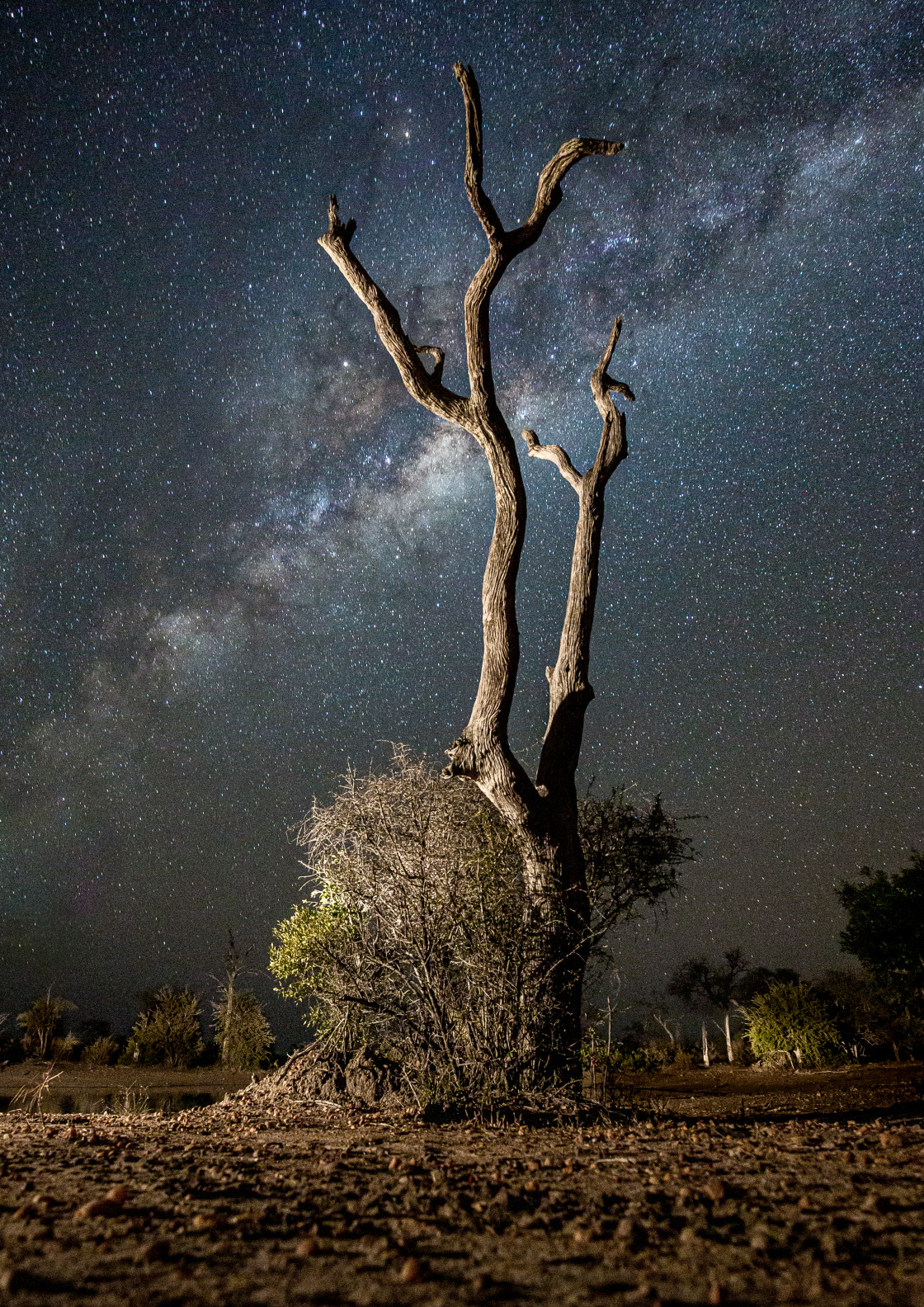 "Stars" stock image