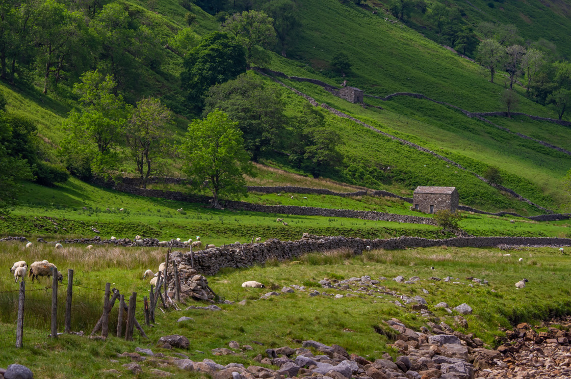 "Stone Shepherds Hut, Swaledale, Yorkshire, UK" stock image