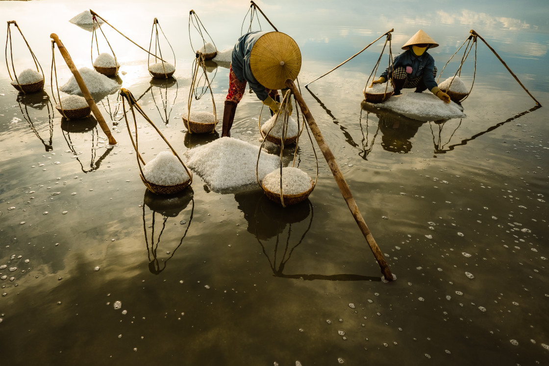 "Salt Harvest in Vietnam" stock image