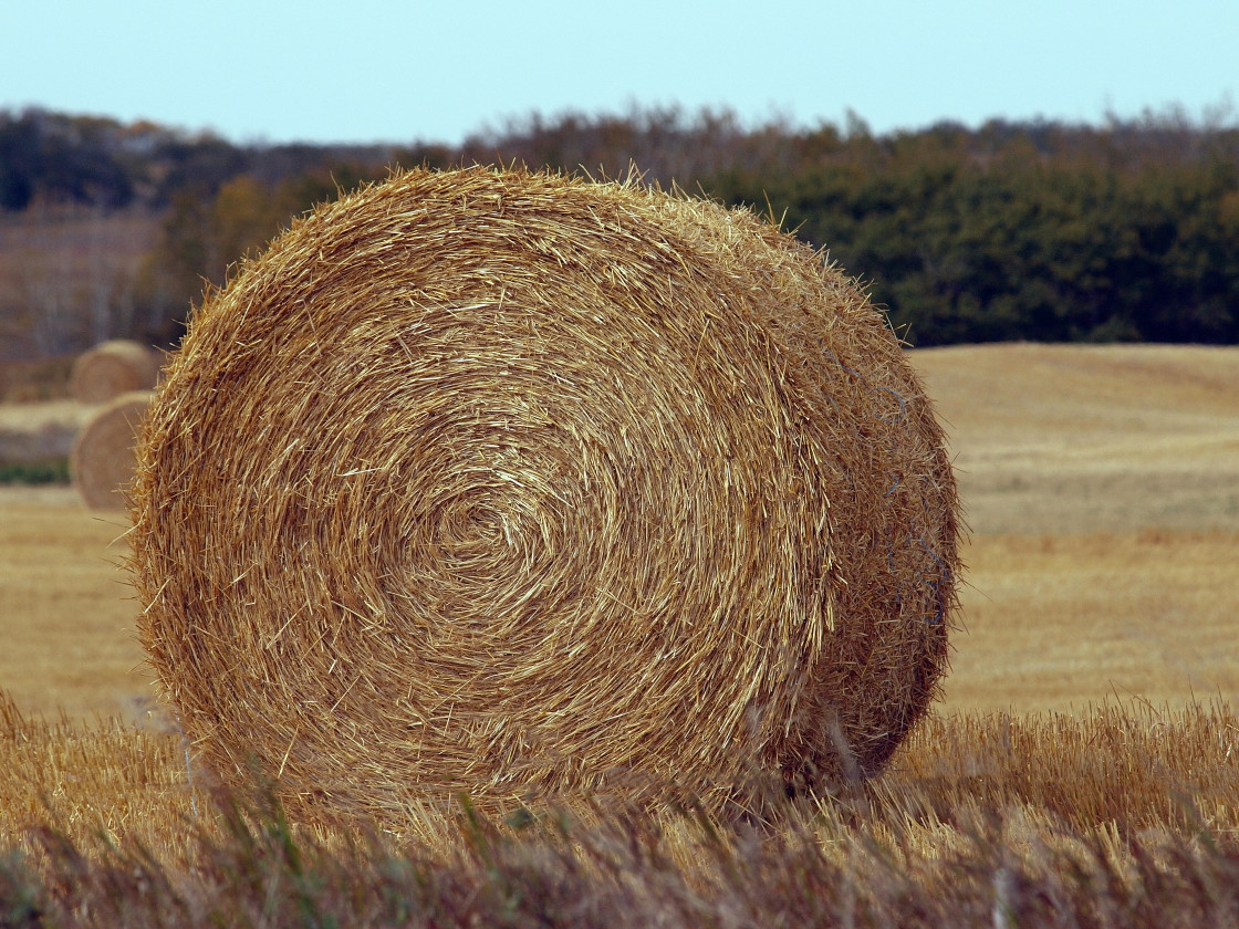 "Hay Bale" stock image