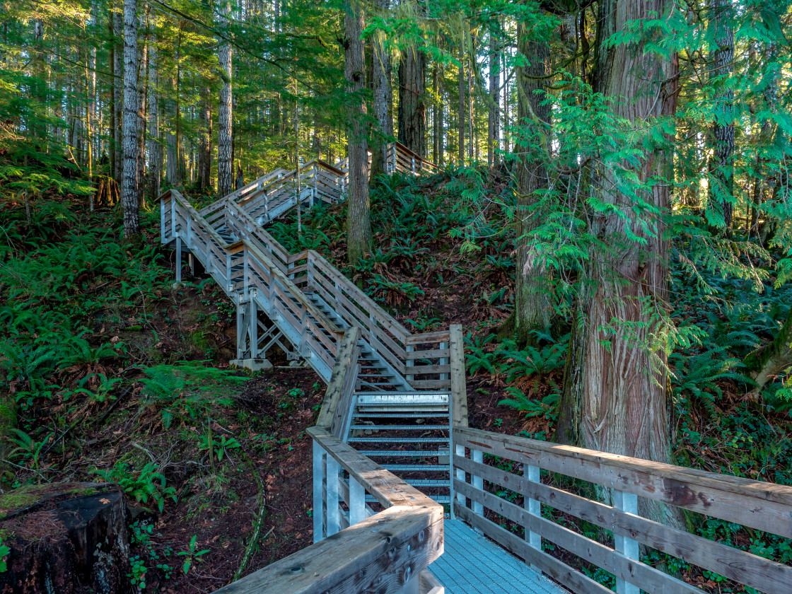 "Winding stairway" stock image