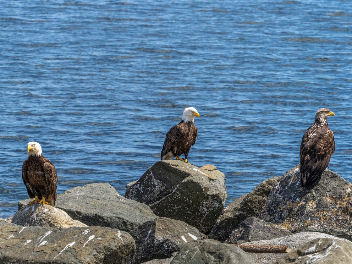 "The Three Amigos" stock image