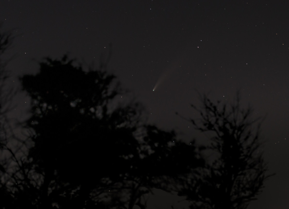 "NEOWISE Comet" stock image