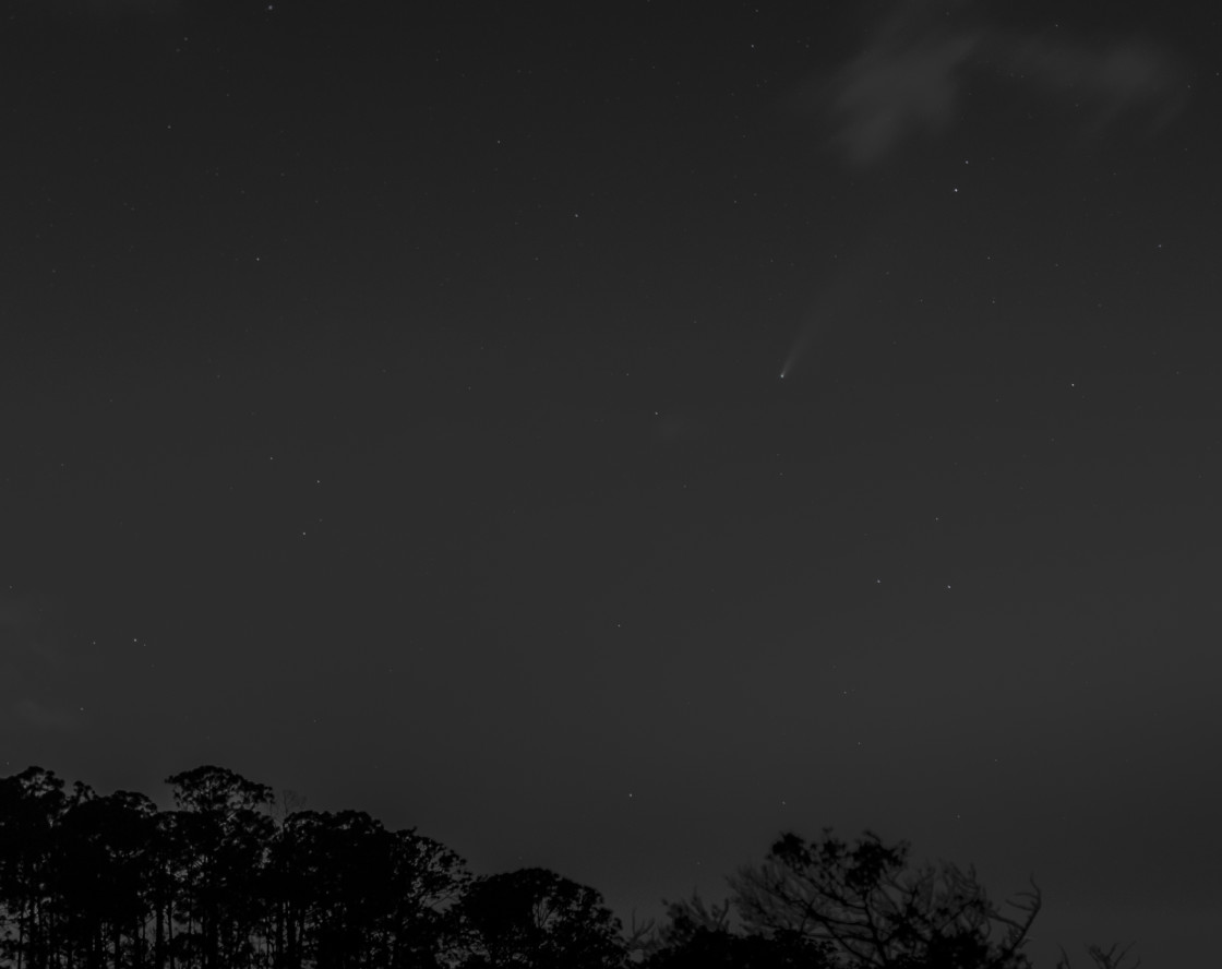 "NEOWISE Comet" stock image