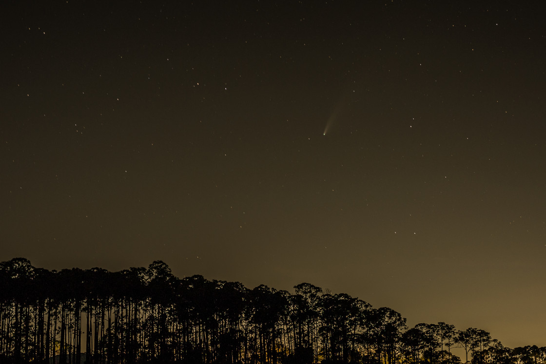 "NEOWISE Comet" stock image