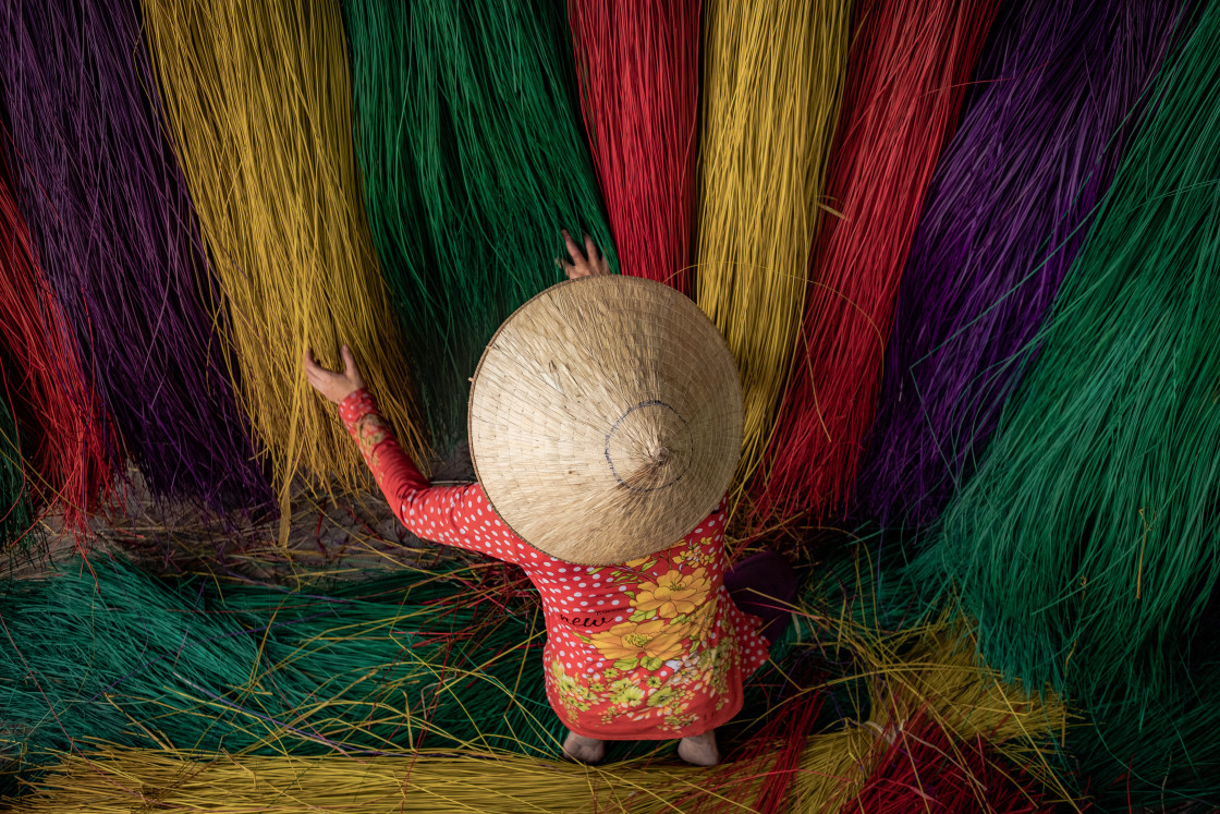 "Dyeing Straw" stock image