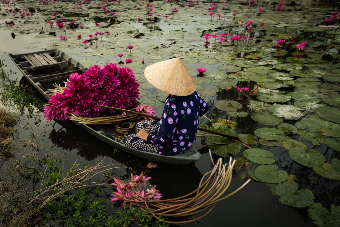 "A Peaceful Morning" stock image