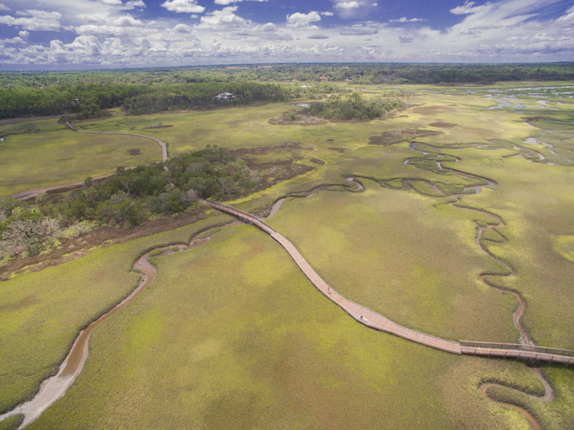 "Aerial view marsh land" stock image
