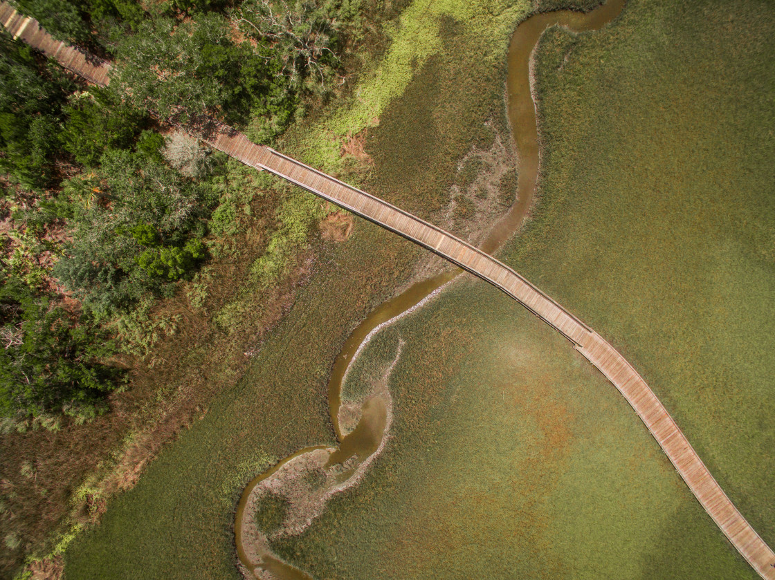 "Aerial view marsh land" stock image