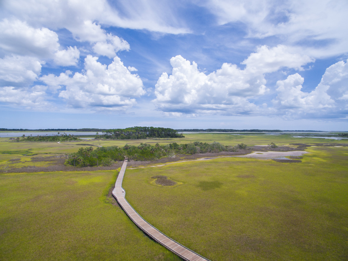 "Aerial view marsh land" stock image