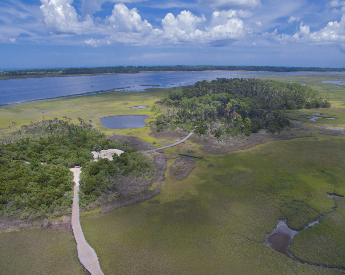 "Aerial view marsh land" stock image