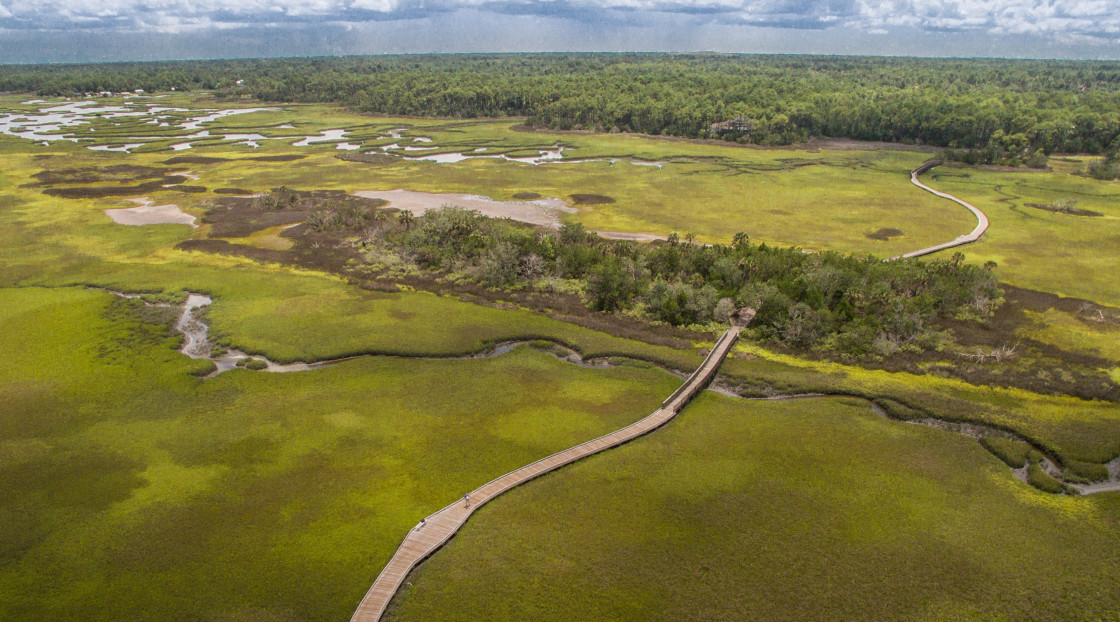 "Aerial view marsh land" stock image