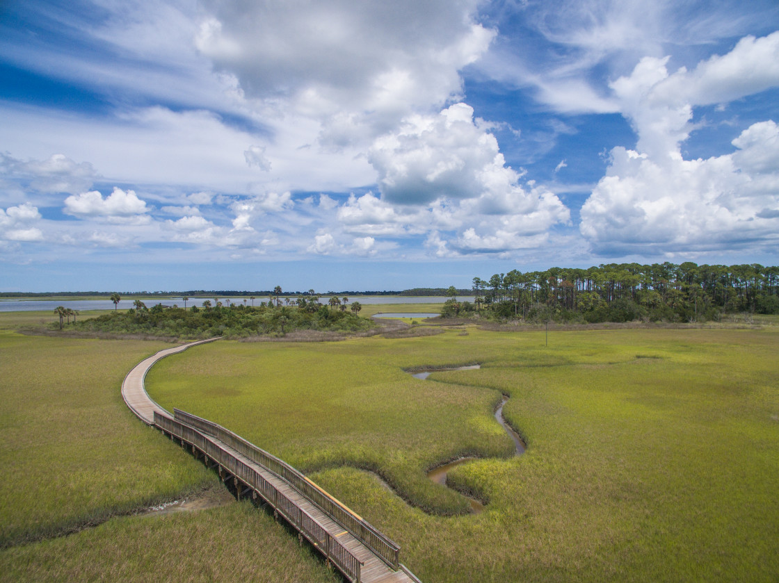 "Aerial view marsh land" stock image