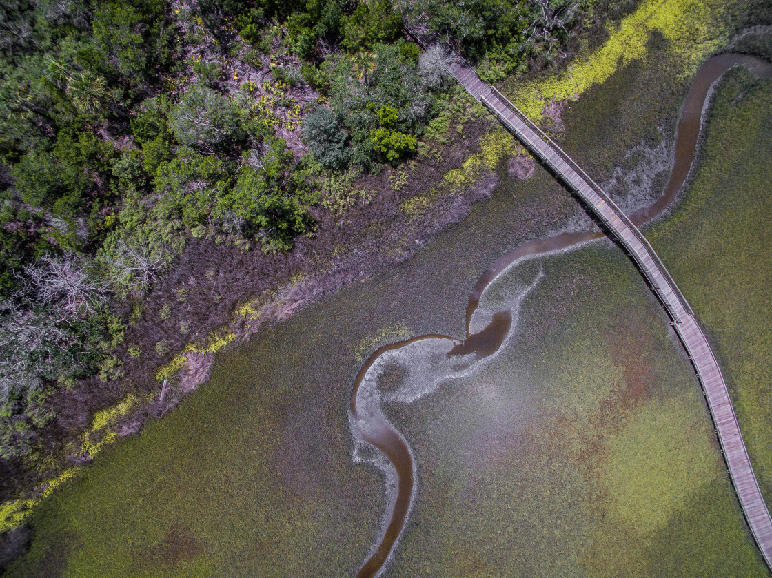 "Aerial view marsh land" stock image