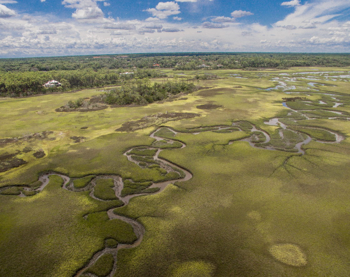 "Aerial view marsh land" stock image