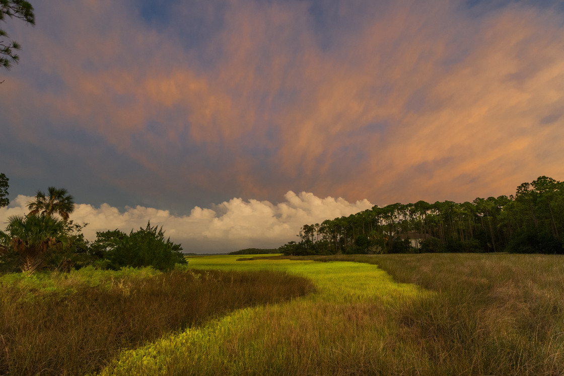 "Florida marsh with clouds from Tropical Storm Isaias" stock image