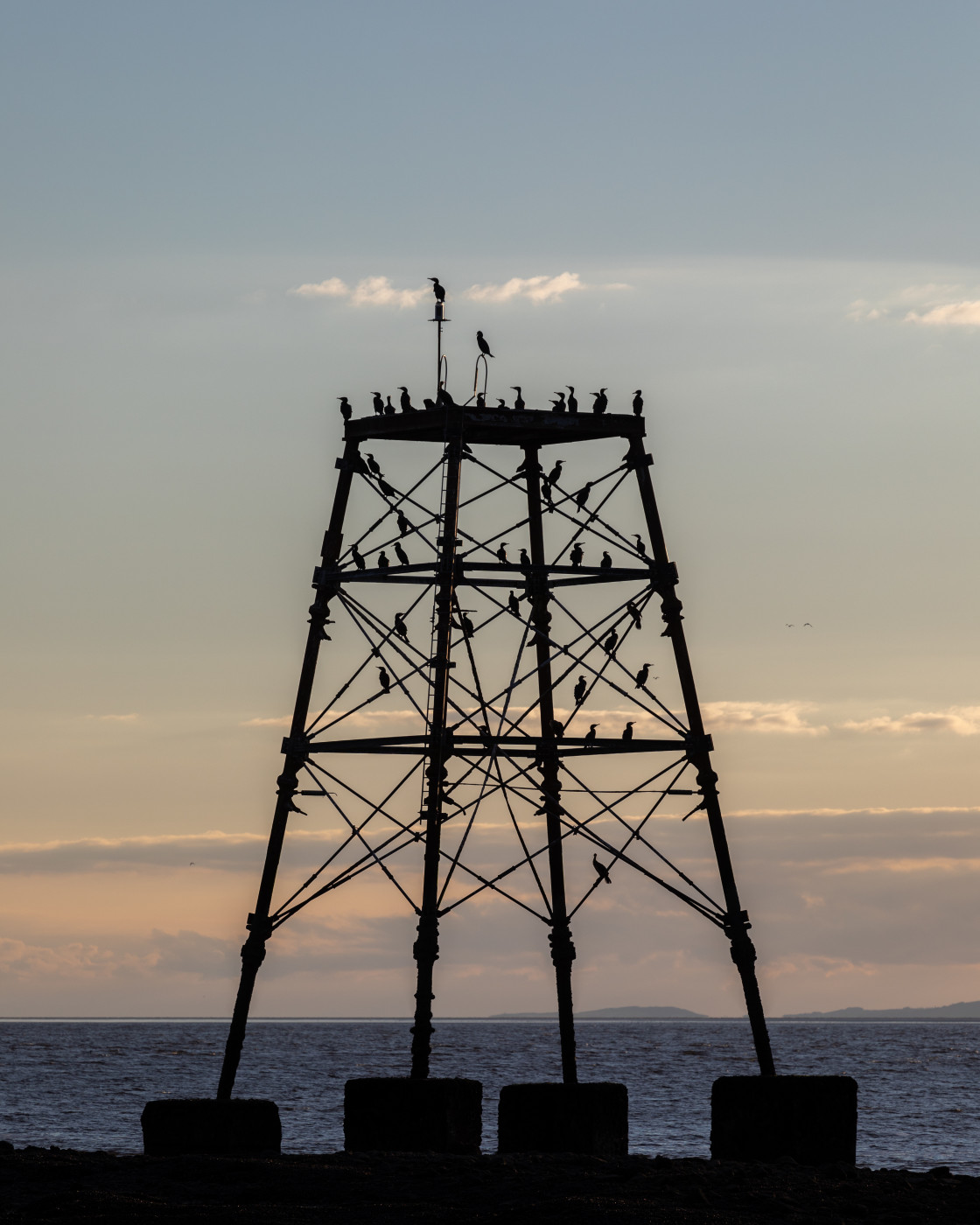 "Seabirds settling for the night" stock image