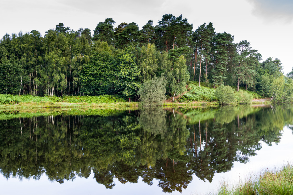 "Bourley Lake" stock image