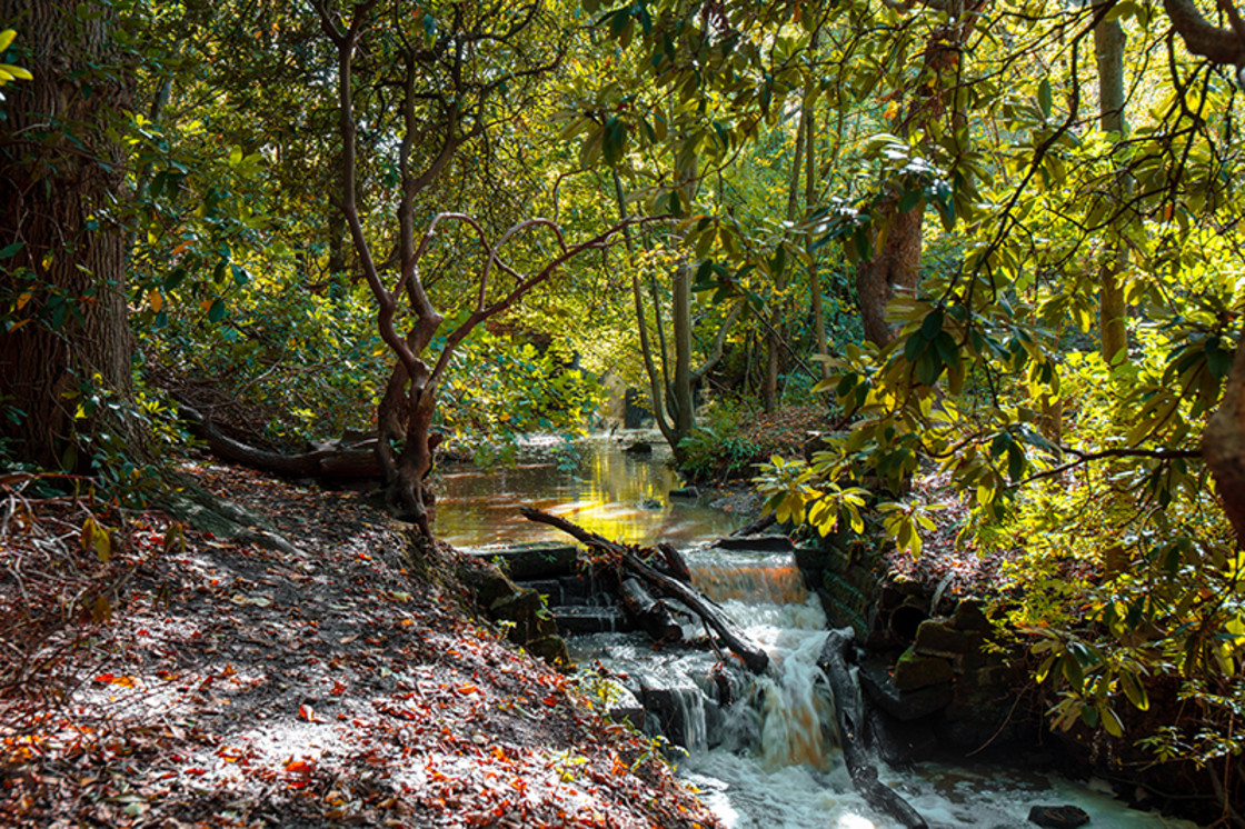 "Running Stream" stock image