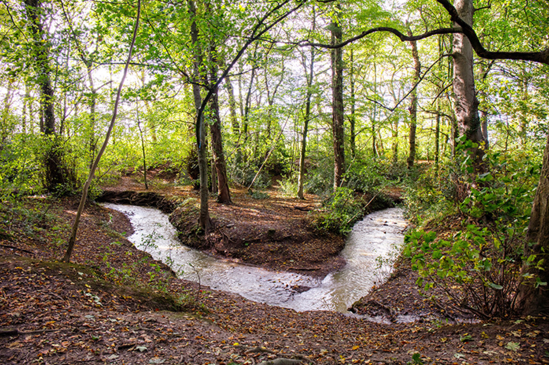 "Flowing Stream" stock image