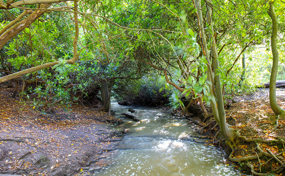 "The Stream" stock image