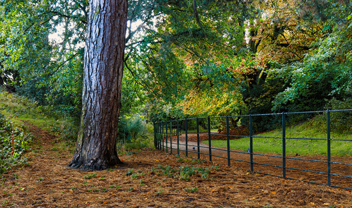 "Autumn Leaves Birkenhead Park" stock image