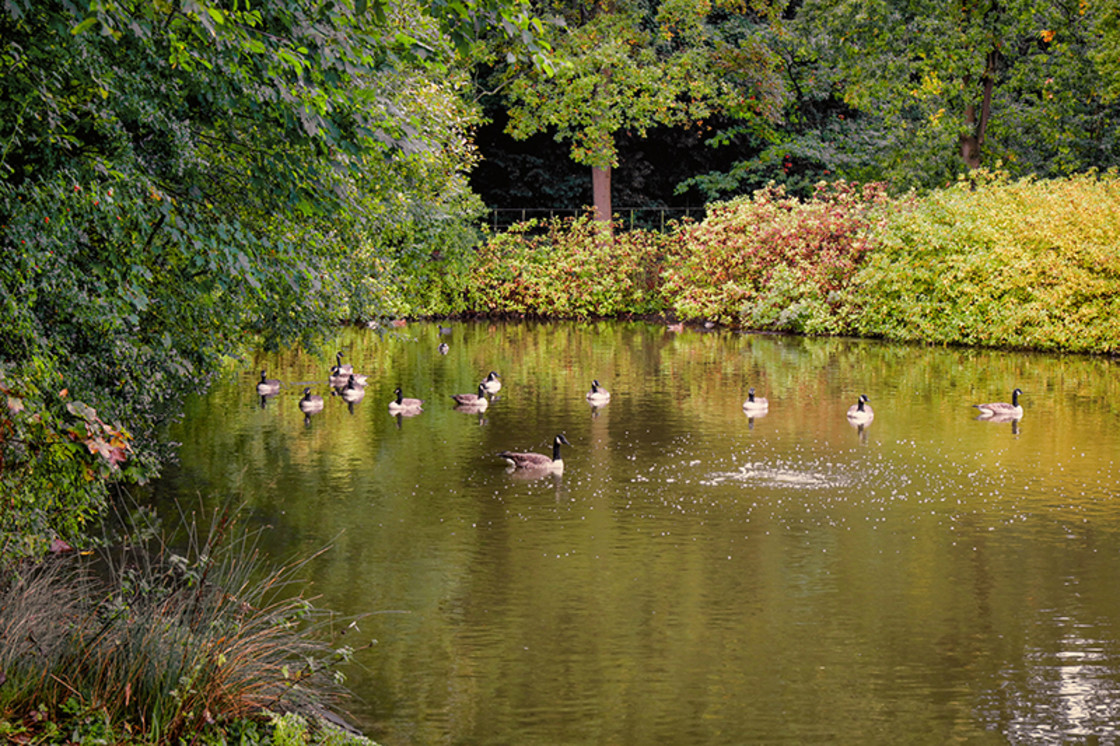 "The Lake Birkenhead Park" stock image