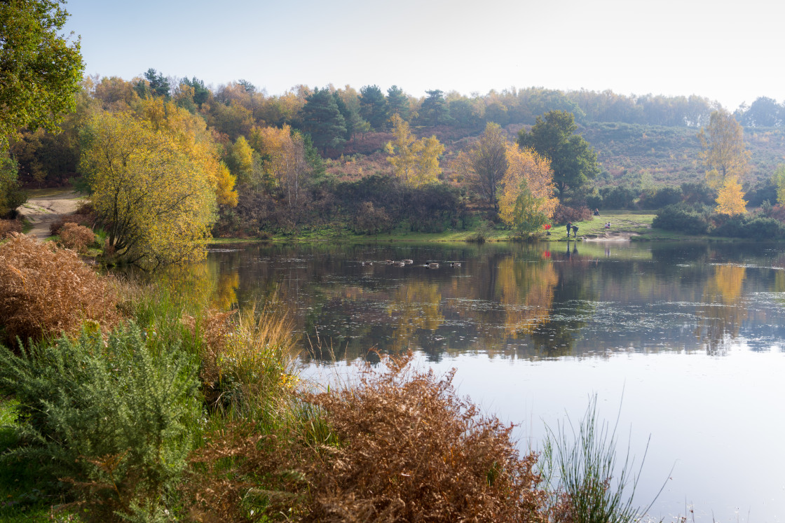 "Tranquil Autumn Scene" stock image