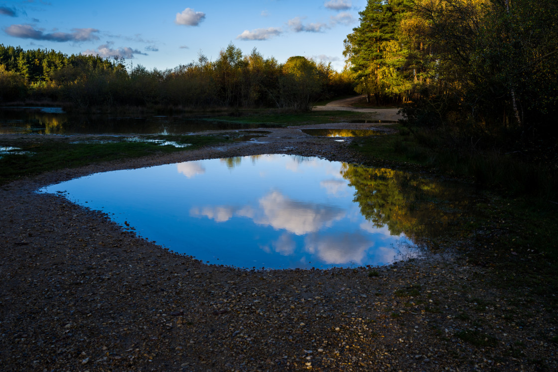 "Puddle Reflection" stock image