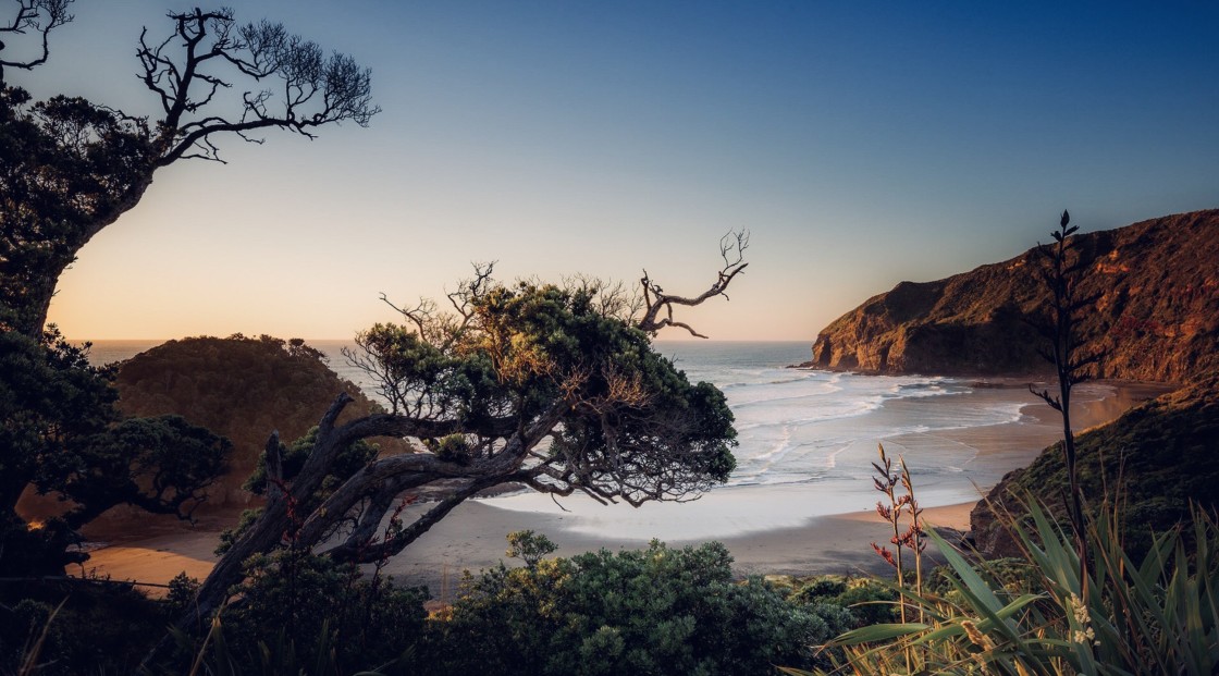 "North Island dawn" stock image