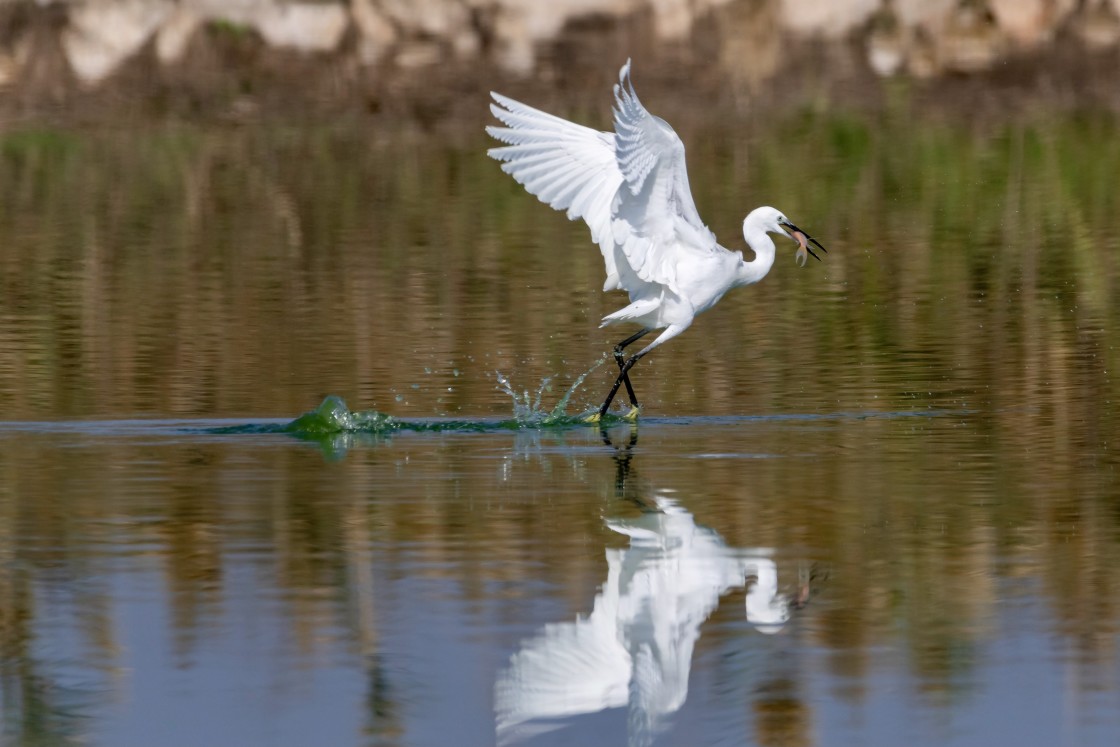 "Fishing while flying.." stock image