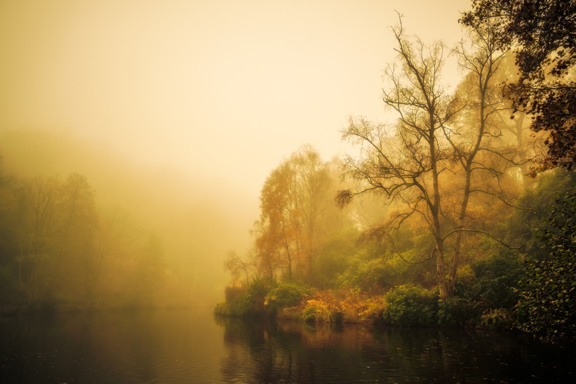 "Mist at Fishpond Wood, Nidderdale" stock image