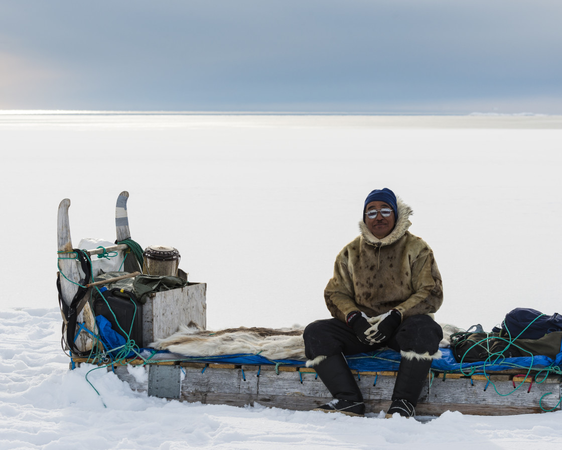 "Musher sitter on a dog sledge" stock image