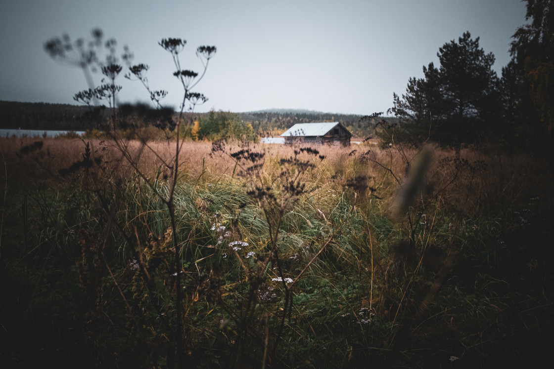 "Sweden Landscape" stock image