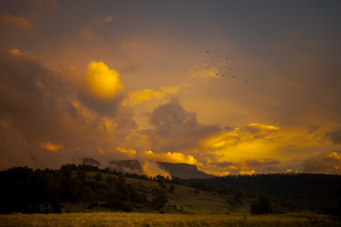 "Mole Creek Magic" stock image