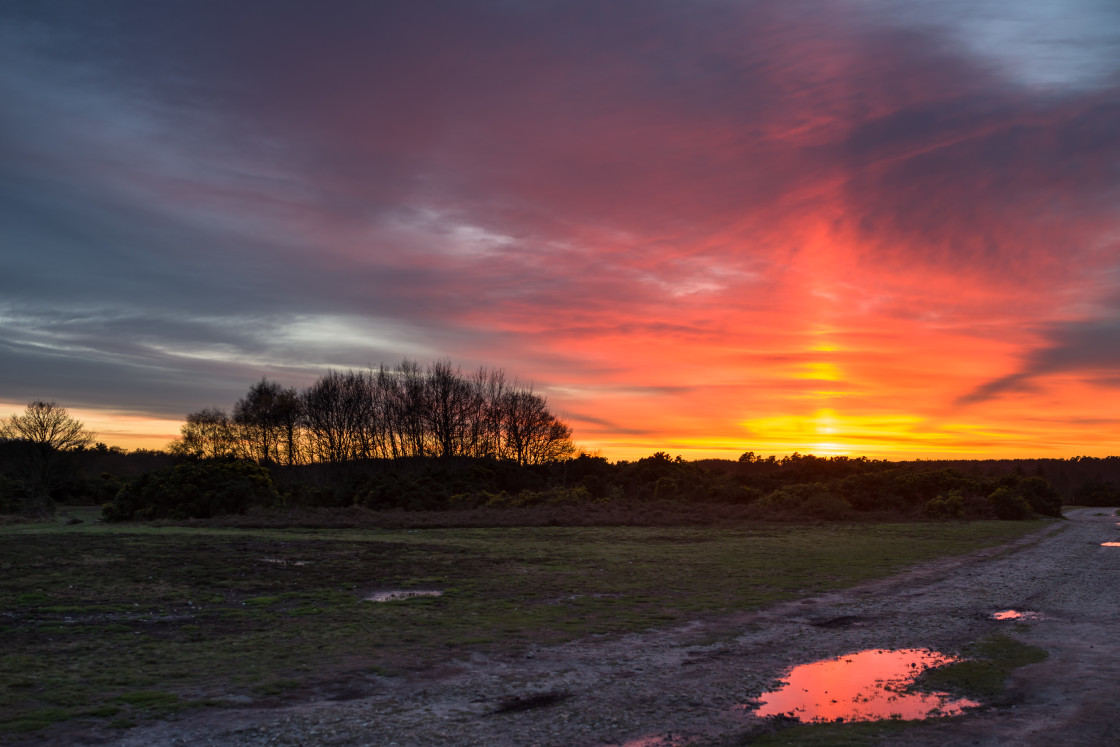 "Sunset" stock image